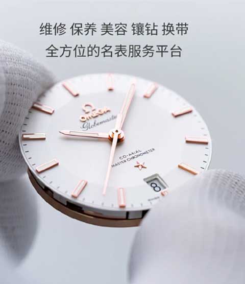 维修真力时